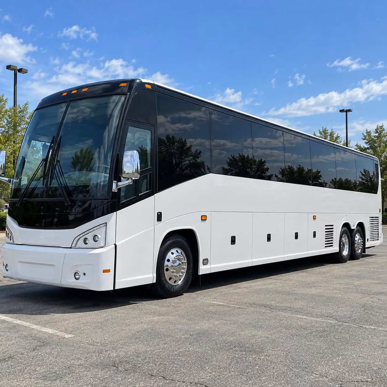 student groups exploring the albany pine bush preserve need the right bus